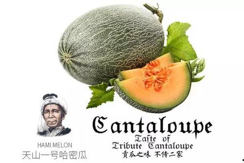 娱乐吃瓜营销号推荐